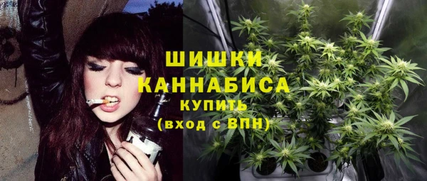 гашик Сосновка