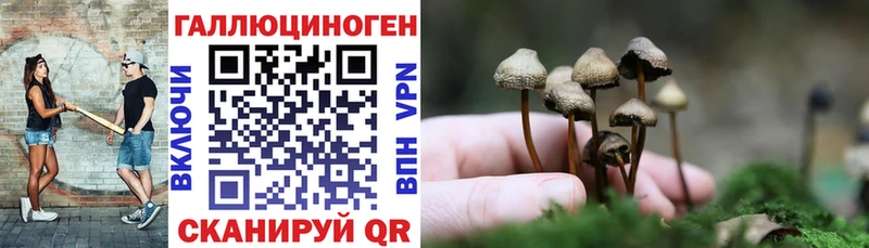 Галлюциногенные грибы Psilocybe  Киренск 